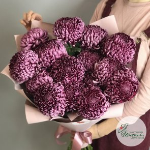 Букет из 15 больших пурпурных хризантем