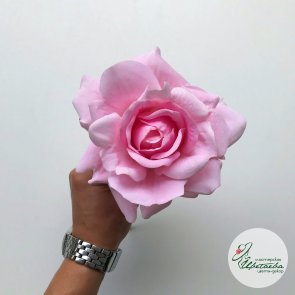 Высокая ярко-розовая роза