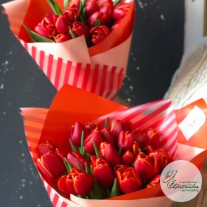 Букет из красных классических тюльпанов