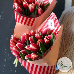 Букет из красно-белых классических тюльпанов
