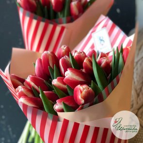 Букет из красно-белых классических тюльпанов