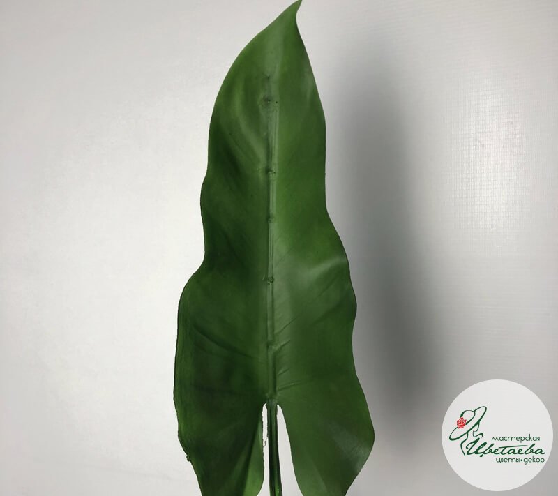 Искусственный зеленый лист каллы