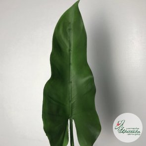 Искусственный зеленый лист каллы