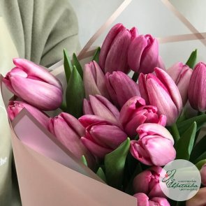Букет из 25 нежно-розовых тюльпанов