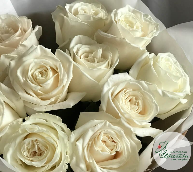 Букет из 11 белых роз