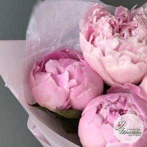 Нежный букет из 5 розовых королевских пионов