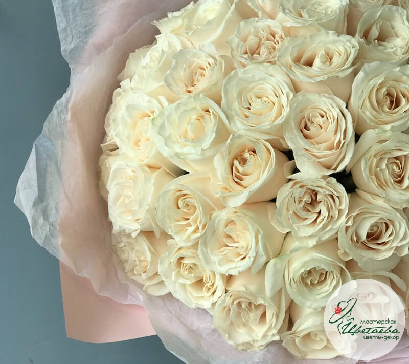 Букет из 51 элитной белой розы Эквадор