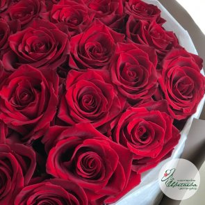 Букет из 25 стойких элитных роз Эквадор
