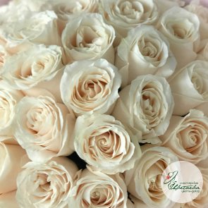 Букет из 51 элитной белой розы Эквадор