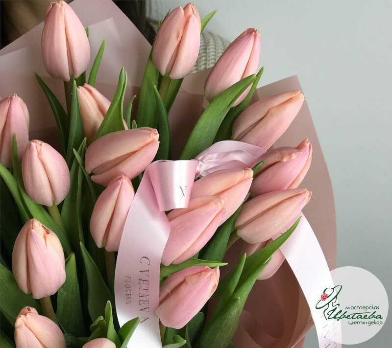 Букет из 25 нежно-розовых тюльпанов