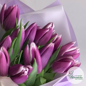 Букет из 15 фиолетовых тюльпанов