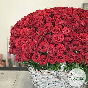 Большая корзина из 251 элитной красной розы