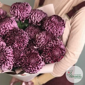Букет из 15 больших пурпурных хризантем