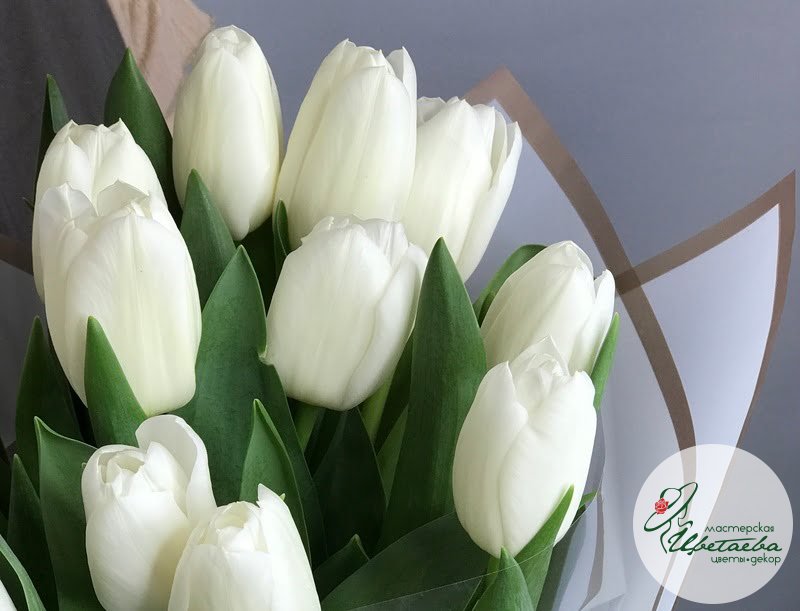 Букет из белых классических тюльпанов