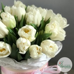 Белые пионовидные тюльпаны в шляпной коробке