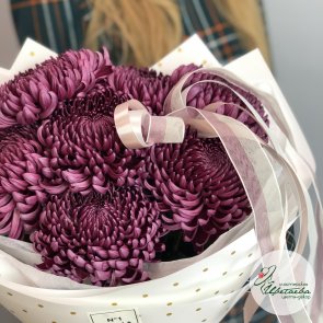 Букет из 7 пурпурных хризантем с атласной лентой