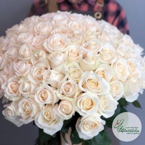 Букет из 101 белой розы под ленту