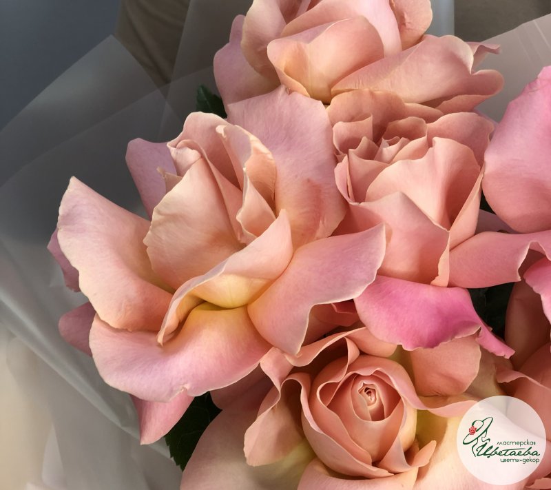 Букет «Розовый фламинго» из 9 французских роз