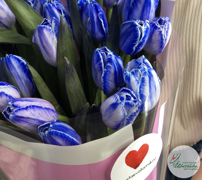 Букет «Ультрамарин» из 25 ярких тюльпанов