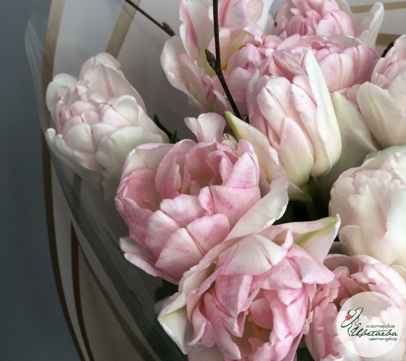 Букет любимой «Приближение весны» из 15 пионовидных тюльпанов