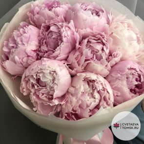 Букет из 9 розовых пионов