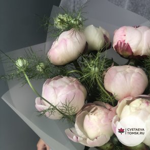 Букет из 13 пионов «Гардения»
