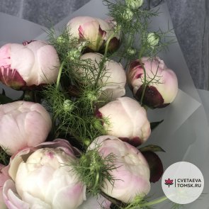 Букет из 13 пионов «Гардения»
