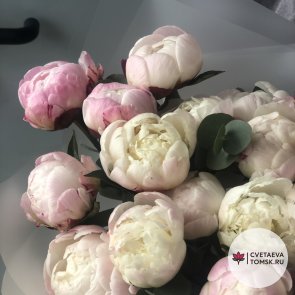 Букет из пионов «Гардения» с эвкалиптом