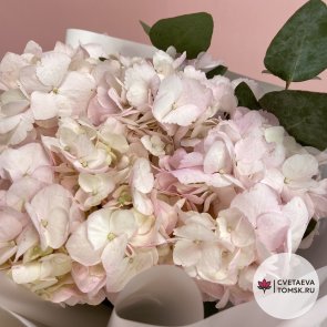 Букет из 3 розовых гортензий