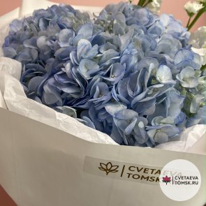 Букет из 3 голубых гортензий и маттиолы
