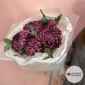 Букет из 5 пурпурных хризантем для мамы