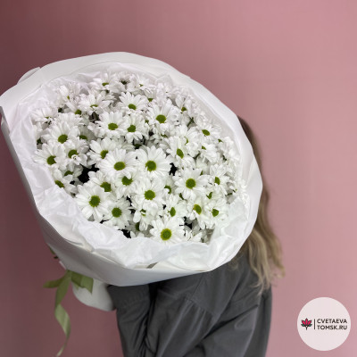 Букет из 15 кустовых Хризантем-ромашек