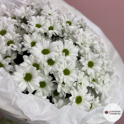 Букет из 15 кустовых Хризантем-ромашек