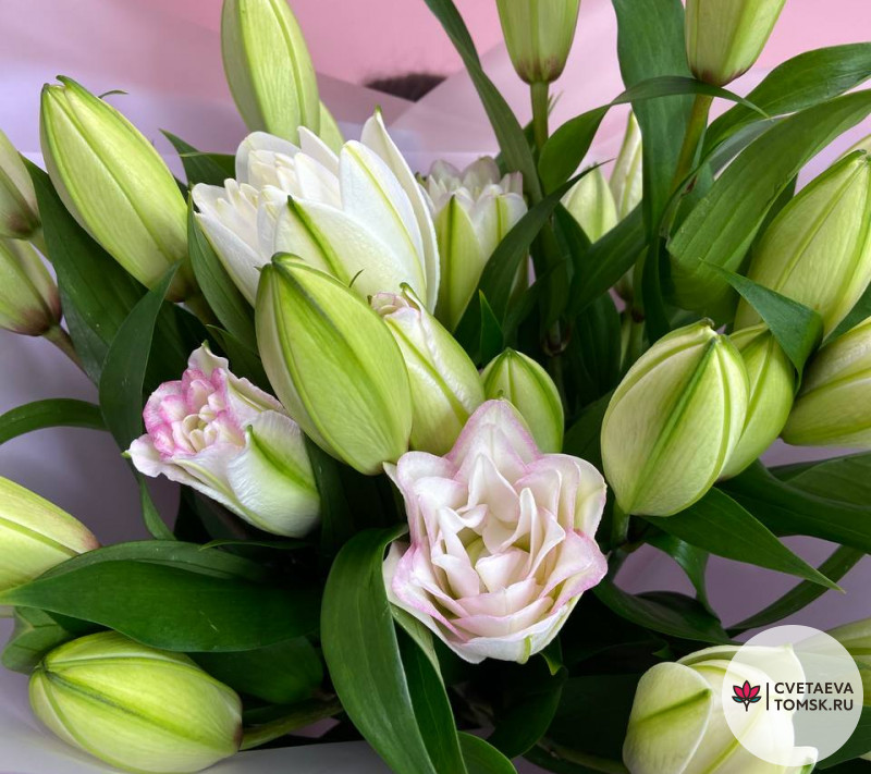 Северное сияние Северное сияние