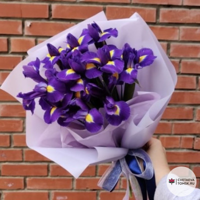 Фиолетовое сияние