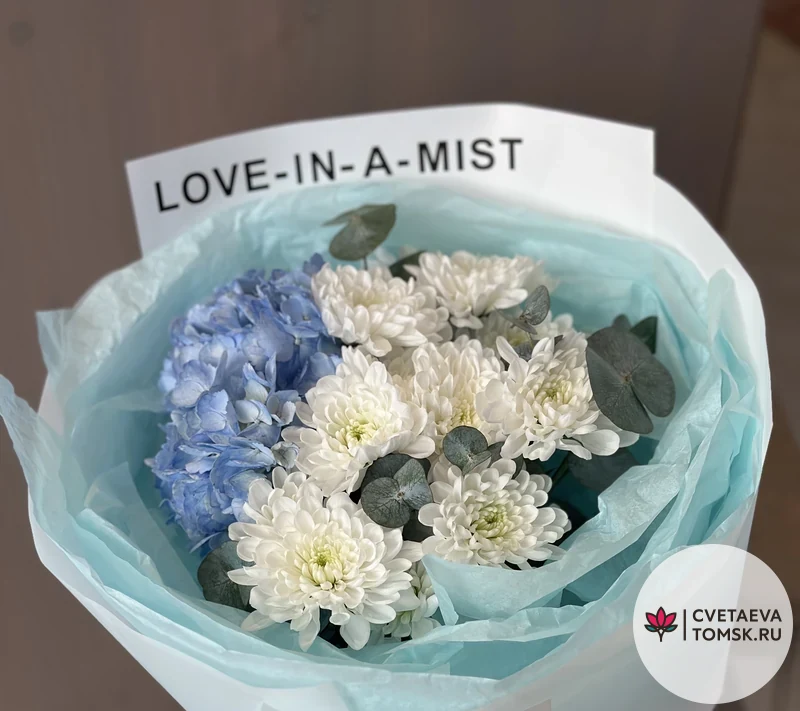Северное небо Северное небо