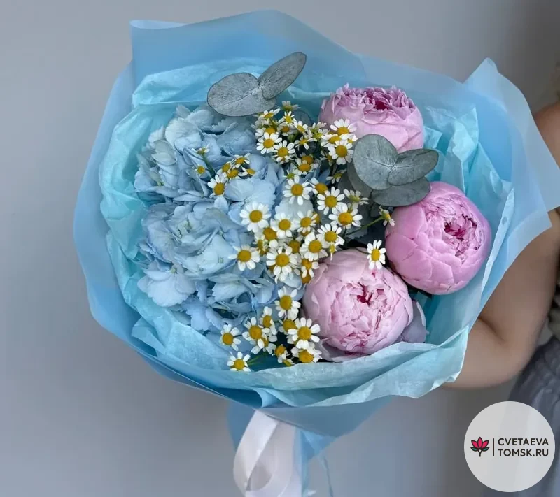 Пионы в облаках