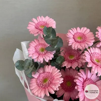 Летний танец
