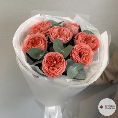 Коралловое признание