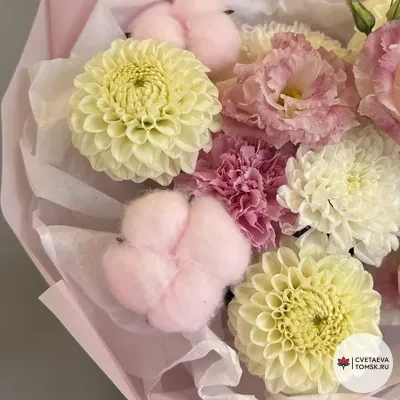 Розовый этюд