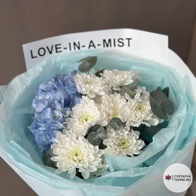 Северное небо