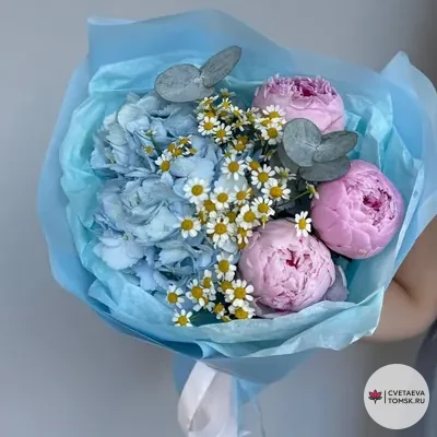 Пионы в облаках