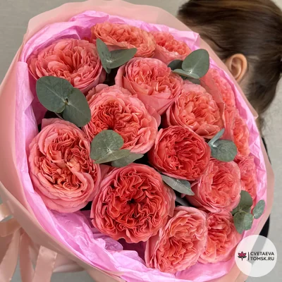 Роскошь коралловых роз