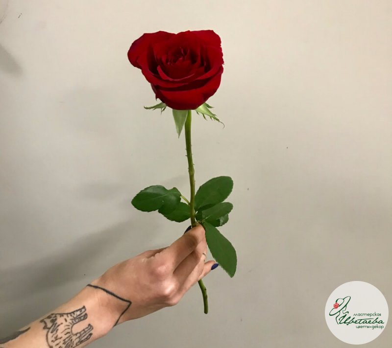 Кенийская роза 40 см