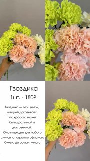 Летние сезонные цветы в мастерской «Цветаева»